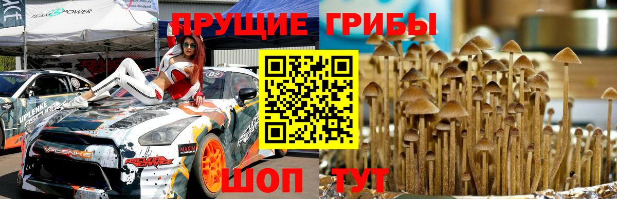 Анапа  Псилоцибиновые грибы Psilocybine cubensis  Вход с VPN 
