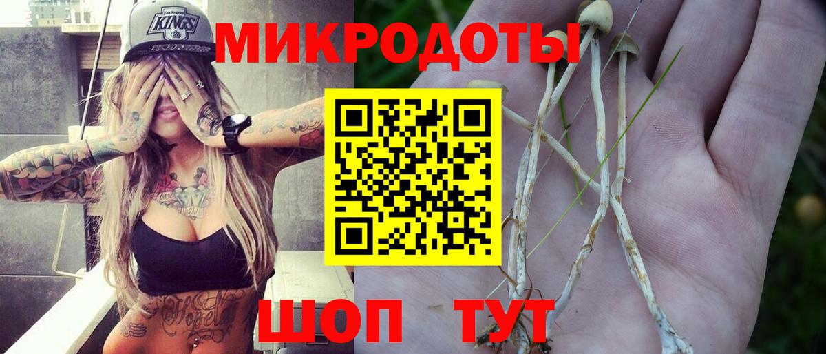Псилоцибиновые грибы GOLDEN TEACHER Анапа